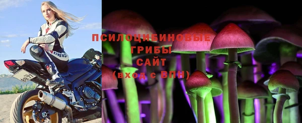 соль ск Снежинск