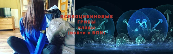 не бодяженный Снежногорск