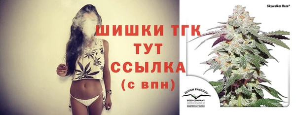 не бодяженный Снежногорск