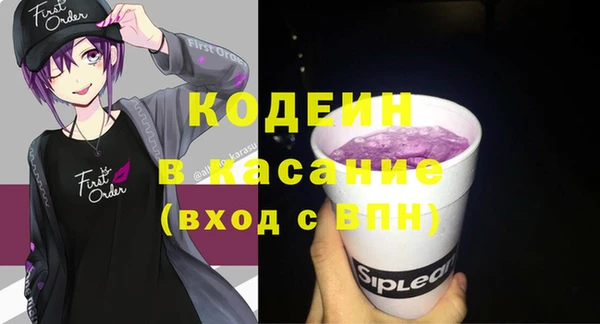 соль ск Снежинск
