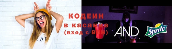 соль ск Снежинск