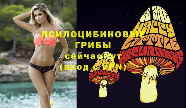 не бодяженный Снежногорск