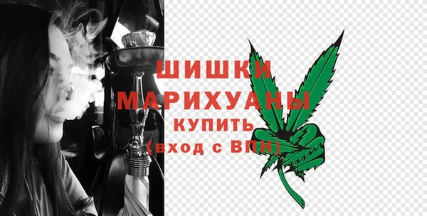 соль ск Снежинск