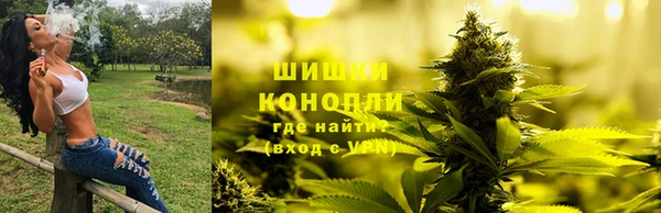 соль ск Снежинск