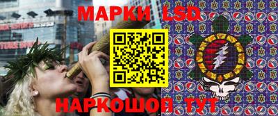 гидра Заволжье