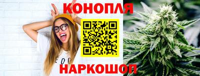 крисы Заводоуковск