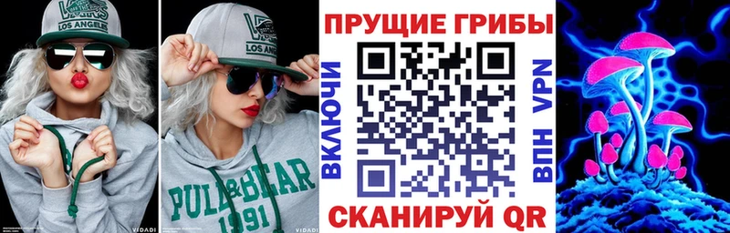 Псилоцибиновые грибы прущие грибы Чайковский