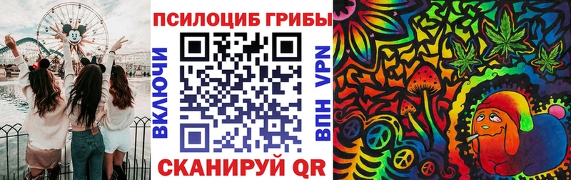 как найти закладки  Чайковский  Галлюциногенные грибы Cubensis 