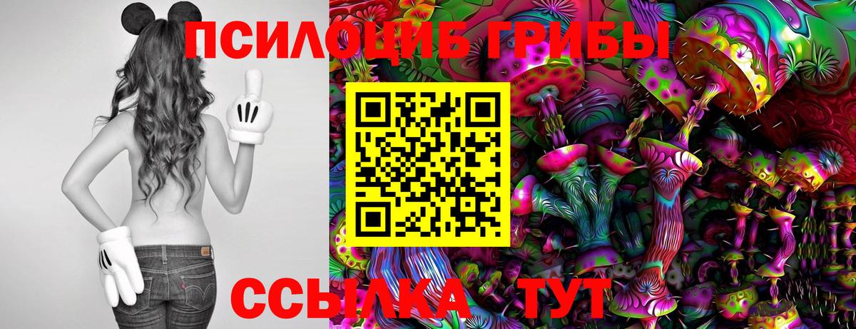 Псилоцибиновые грибы Psilocybine cubensis Чайковский